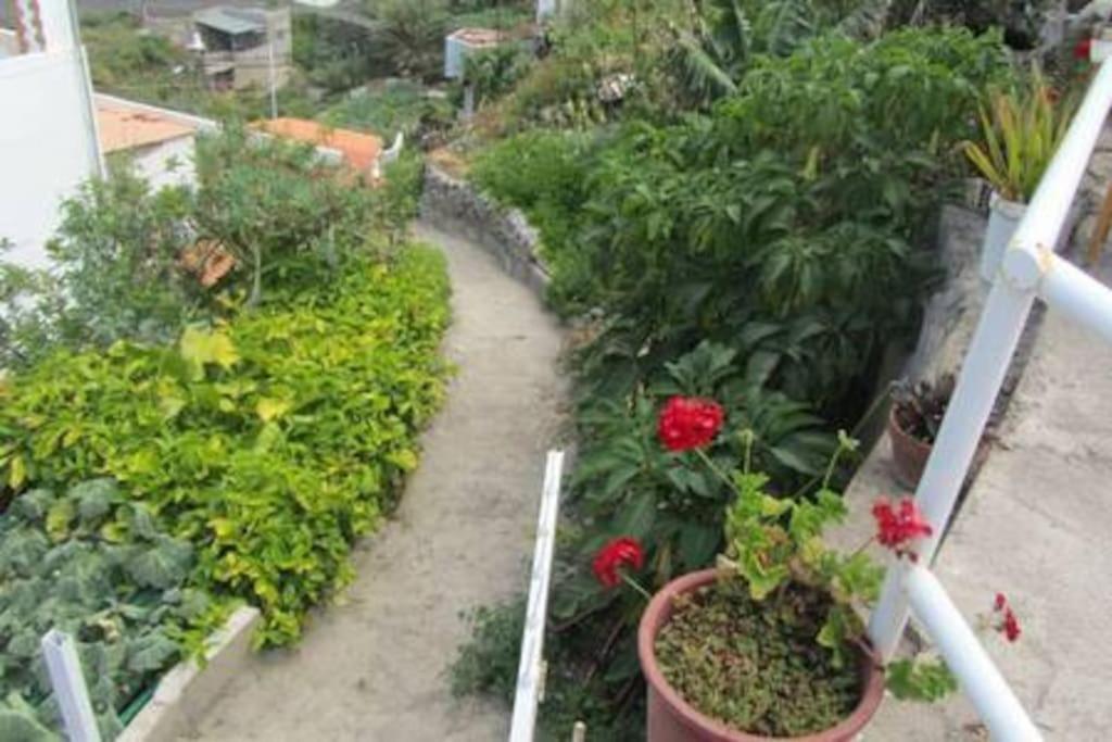 House Rural,Biosphere Reserve World.Taganana.Tfe. Santa Cruz de Tenerife Exterior foto